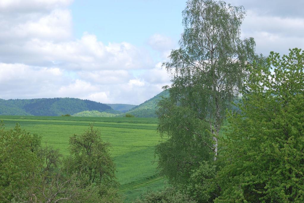 Ferienwohnung-Stricker-Typ-A-Balkon-1-3 Walkenried 外观 照片